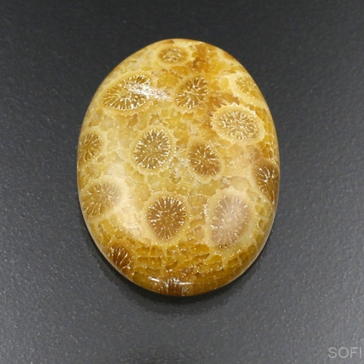 Камень агатизированный Коралл натуральный 27.00 карат арт 2663