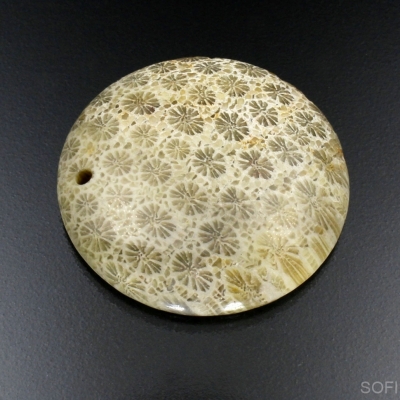 Камень агатизированный Коралл натуральный 68.60 карат арт 19260