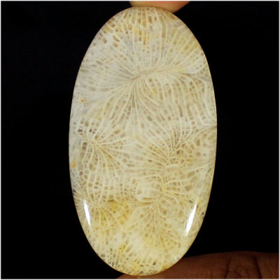  Камень агатизированный Коралл натуральный 56.15 карат арт 9705