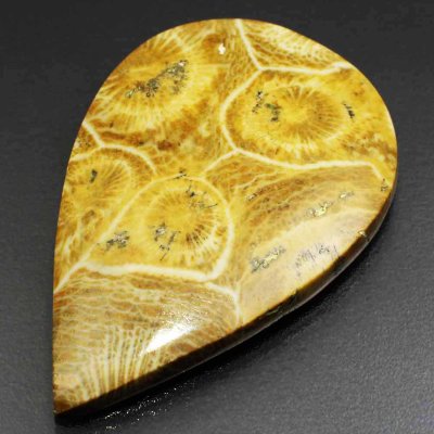  Камень агатизированный Коралл натуральный 60.20 карат арт. 9298