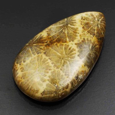  Камень агатизированный Коралл натуральный 35.00 карат арт. 14670