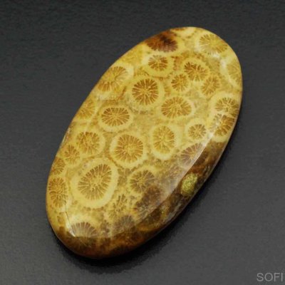  Камень агатизированный Коралл натуральный 29.00 карат арт 12073