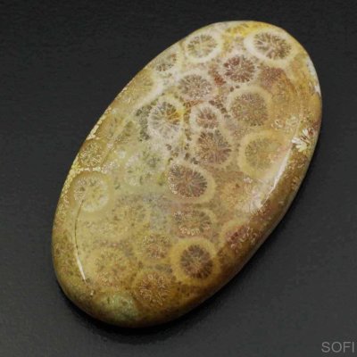  Камень агатизированный Коралл натуральный 44.00 карат арт 9991