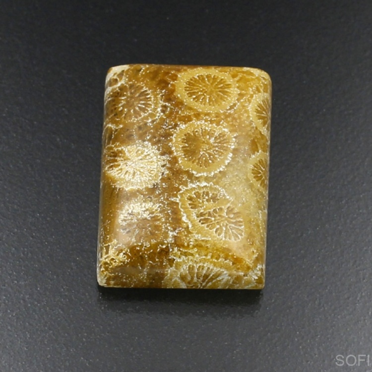 Камень агатизированный Коралл натуральный 25.70 карат арт 25052